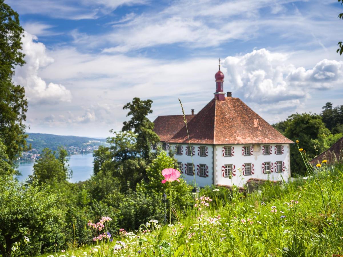 Schloss Freudenfels Eschenz Dış mekan fotoğraf