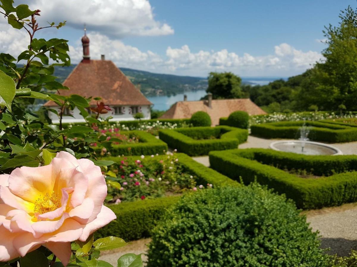 Schloss Freudenfels Eschenz Dış mekan fotoğraf
